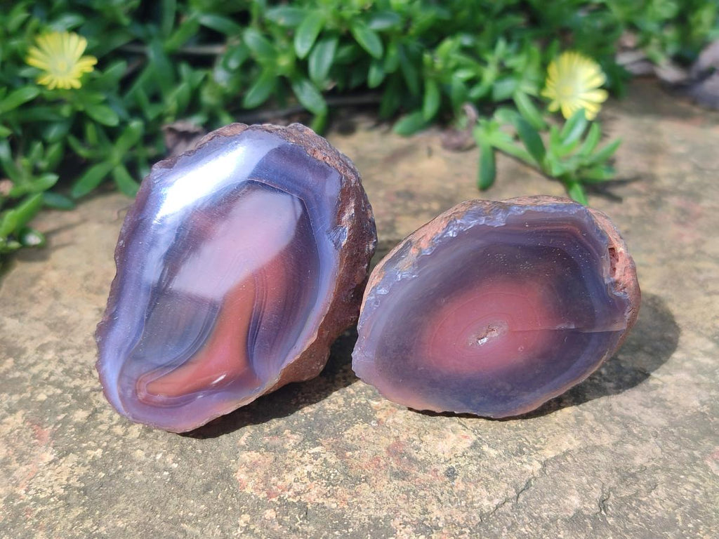 Polished One Side Red Shashe River Agate Nodules x 20 From Shashe River, Zimbabwe - Toprock Gemstones and Minerals 