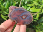 Polished One Side Red Shashe River Agate Nodules x 20 From Shashe River, Zimbabwe - Toprock Gemstones and Minerals 