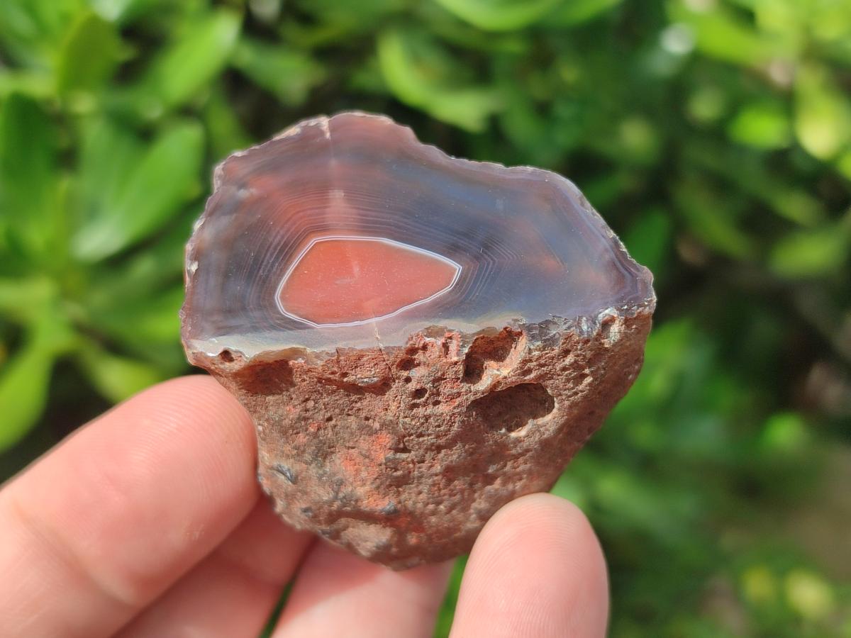 Polished One Side Red Shashe River Agate Nodules x 20 From Shashe River, Zimbabwe - Toprock Gemstones and Minerals 