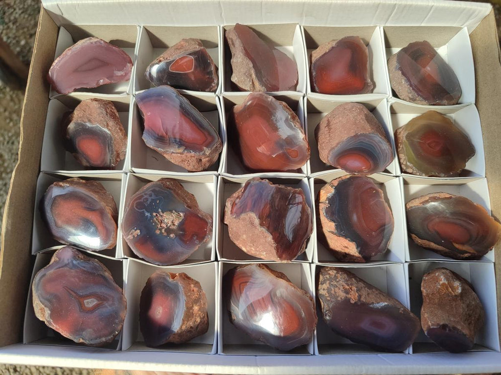 Polished One Side Red Shashe River Agate Nodules x 20 From Shashe River, Zimbabwe - Toprock Gemstones and Minerals 