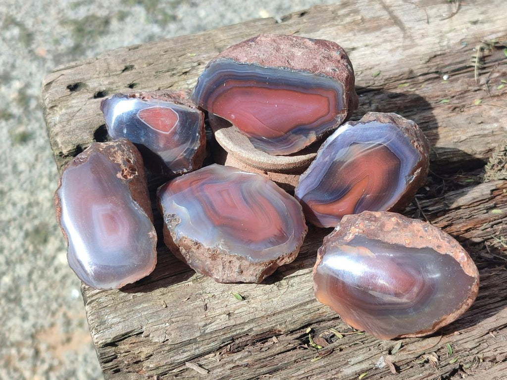 Polished One Side Red Shashe River Agate Nodules x 20 From Shashe River, Zimbabwe - Toprock Gemstones and Minerals 