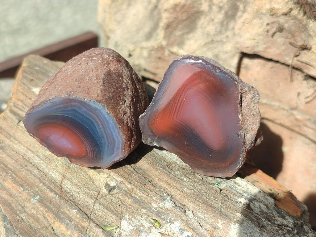 Polished One Side Red Shashe River Agate Nodules x 20 From Shashe River, Zimbabwe - Toprock Gemstones and Minerals 