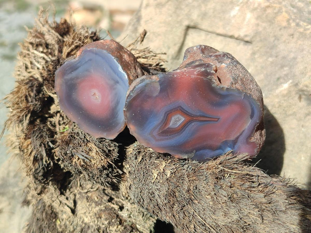 Polished One Side Red Shashe River Agate Nodules x 20 From Shashe River, Zimbabwe - Toprock Gemstones and Minerals 