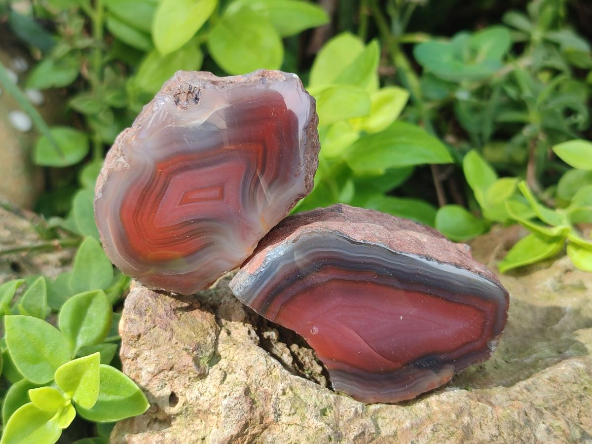 Polished One Side Red Shashe River Agate Nodules x 20 From Shashe River, Zimbabwe - Toprock Gemstones and Minerals 