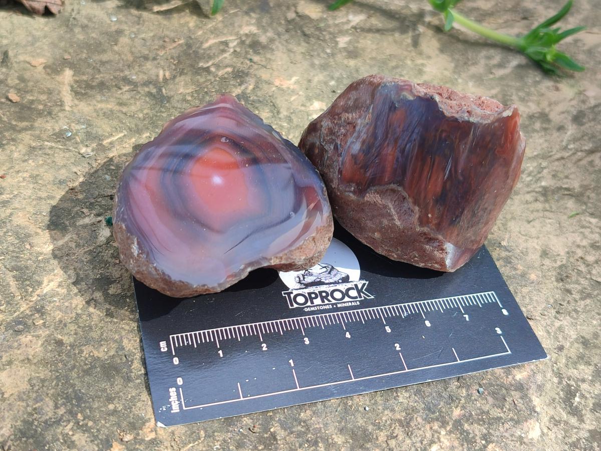 Polished One Side Red Shashe River Agate Nodules x 20 From Shashe River, Zimbabwe - Toprock Gemstones and Minerals 