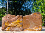 Natural Golden Blue Tigers Eye Slabs x 2 From Prieska, South Africa - Toprock Gemstones and Minerals 
