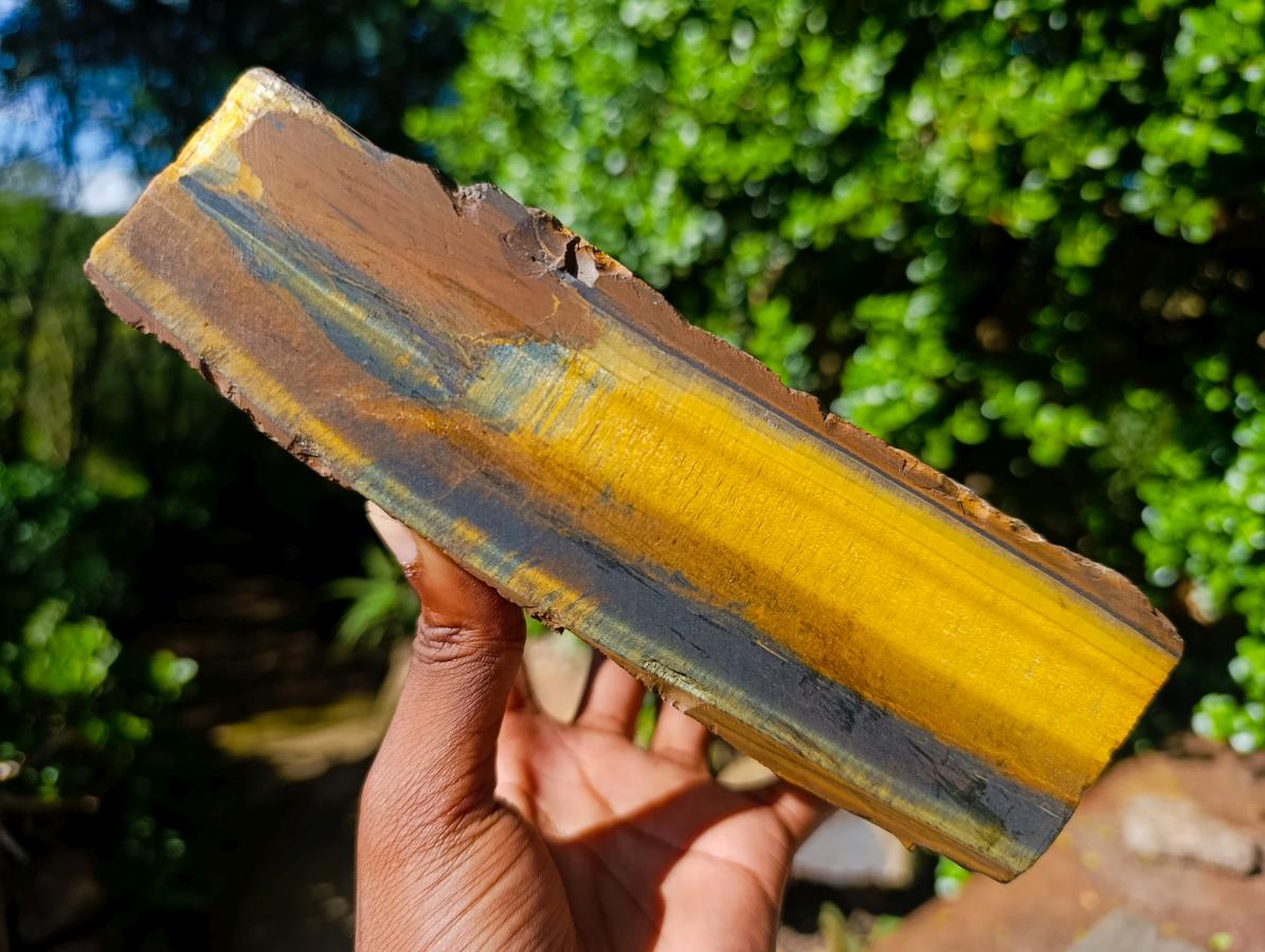 Natural Golden Blue Tigers Eye Slabs x 2 From Prieska, South Africa - Toprock Gemstones and Minerals 