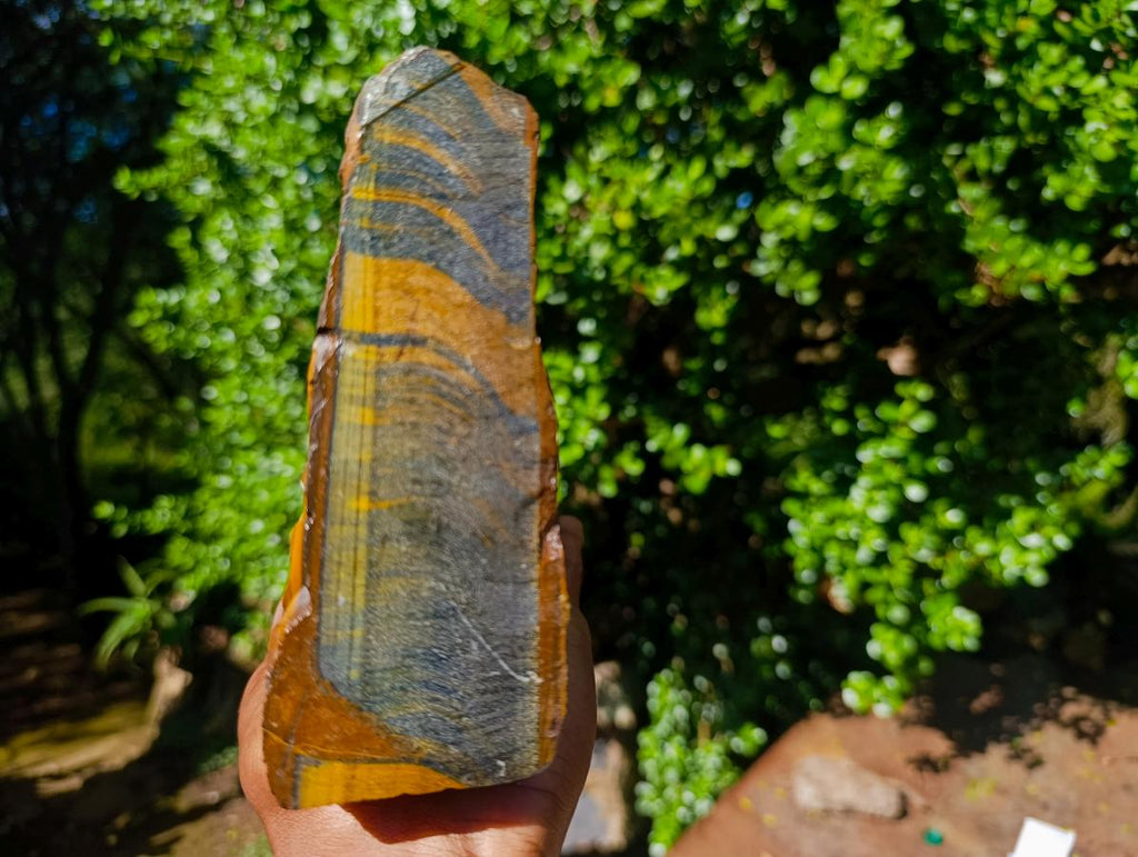 Natural Golden Blue Tigers Eye Slabs x 2 From Prieska, South Africa - Toprock Gemstones and Minerals 