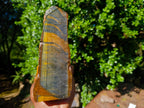 Natural Golden Blue Tigers Eye Slabs x 2 From Prieska, South Africa - Toprock Gemstones and Minerals 