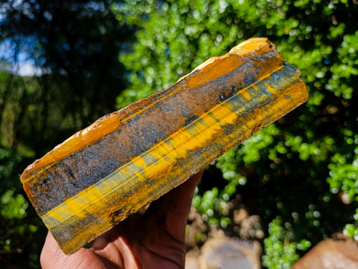 Natural Golden Blue Tigers Eye Slabs x 2 From Prieska, South Africa