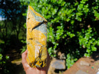 Natural Golden Blue Tigers Eye Slabs x 2 From Prieska, South Africa - Toprock Gemstones and Minerals 
