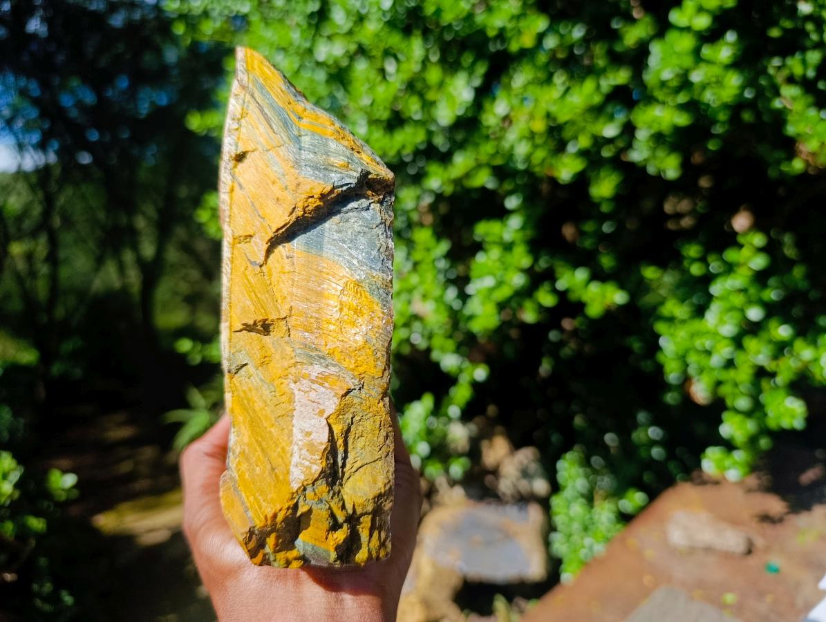 Natural Golden Blue Tigers Eye Slabs x 2 From Prieska, South Africa - Toprock Gemstones and Minerals 
