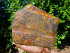 Natural Golden Blue Tigers Eye Slabs x 2 From Prieska, South Africa - Toprock Gemstones and Minerals 