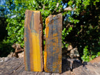 Natural Golden Blue Tigers Eye Slabs x 2 From Prieska, South Africa - Toprock Gemstones and Minerals 