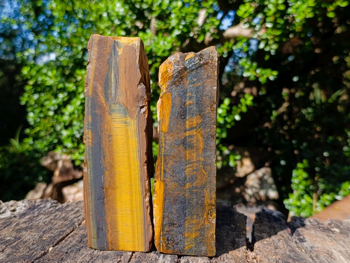 Natural Golden Blue Tigers Eye Slabs x 2 From Prieska, South Africa - Toprock Gemstones and Minerals 