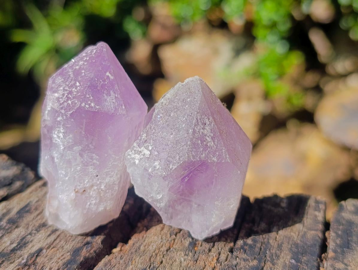 Natural Jacaranda Amethyst Single Crystals x 35 From Mumbwa, Zambia