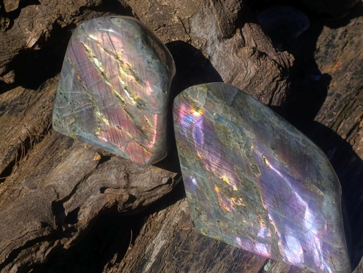 Polished Rare Purple Sunset Flash Labradorite Standing Display Pieces x 2 From Madagascar