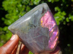 Polished Rare Purple Sunset Flash Labradorite Standing Display Pieces x 2 From Madagascar