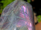 Polished Rare Purple Sunset Flash Labradorite Standing Display Pieces x 2 From Madagascar