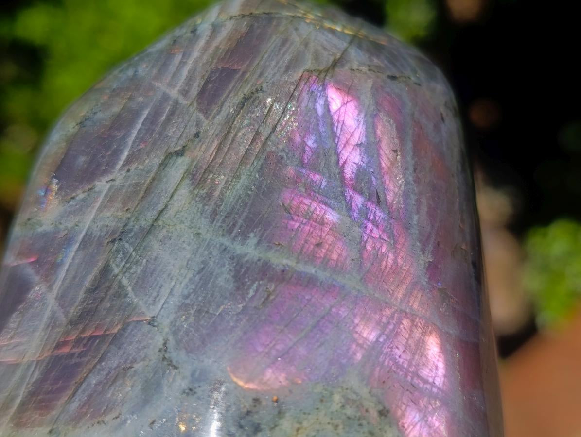 Polished Rare Purple Sunset Flash Labradorite Standing Display Pieces x 2 From Madagascar