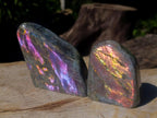 Polished Rare Purple Sunset Flash Labradorite Standing Display Pieces x 2 From Madagascar