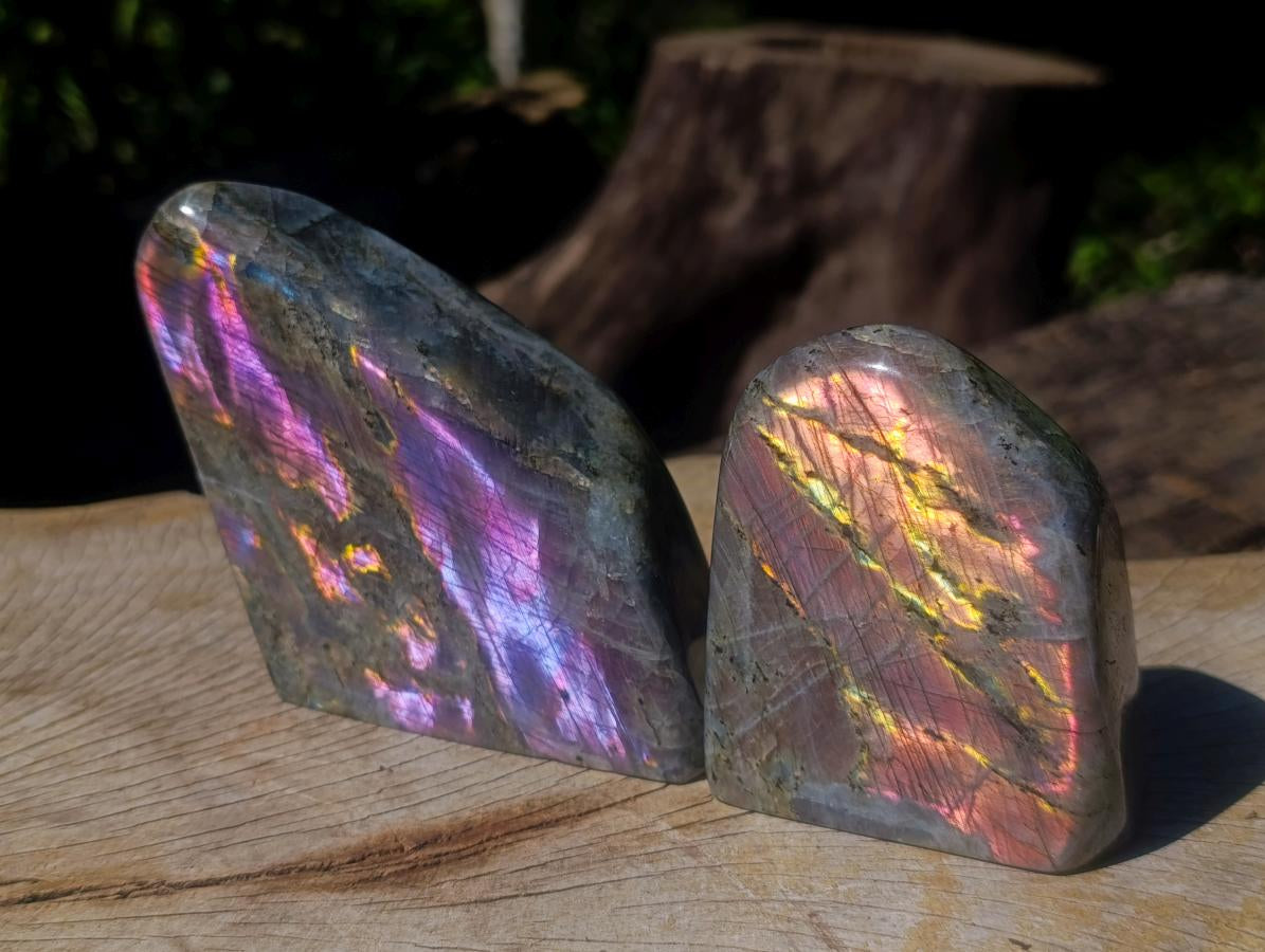 Polished Rare Purple Sunset Flash Labradorite Standing Display Pieces x 2 From Madagascar