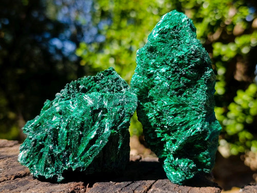 Natural Silky Malachite Specimens x 6 From Kasompe, Congo