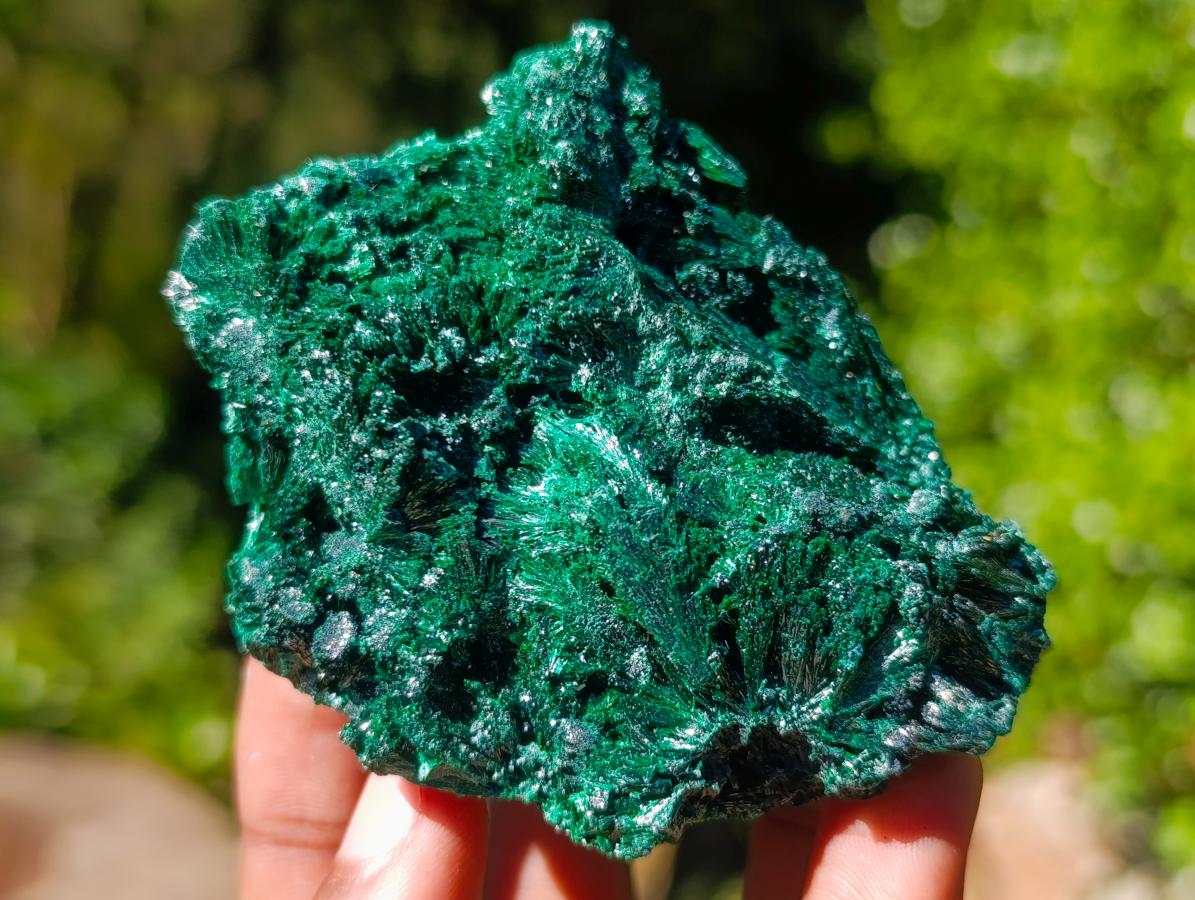 Natural Silky Malachite Specimens x 6 From Kasompe, Congo