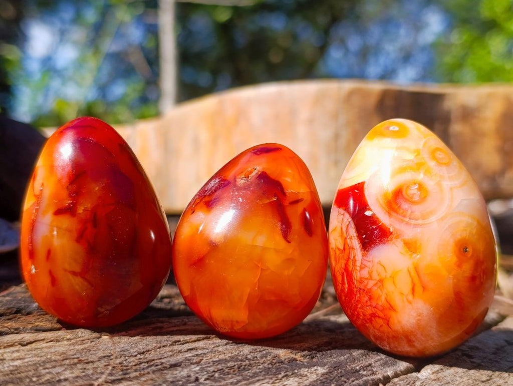 Polished Carnelian Agate Gemstone Eggs x 12 From Madagascar - Toprock Gemstones and Minerals 