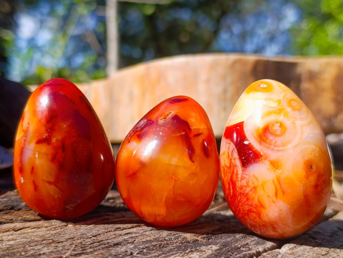 Polished Carnelian Agate Gemstone Eggs x 12 From Madagascar - Toprock Gemstones and Minerals 