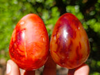 Polished Carnelian Agate Gemstone Eggs x 12 From Madagascar - Toprock Gemstones and Minerals 
