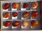Polished Carnelian Agate Gemstone Eggs x 12 From Madagascar - Toprock Gemstones and Minerals 