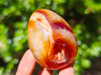 Polished Carnelian Agate Gemstone Eggs x 12 From Madagascar - Toprock Gemstones and Minerals 