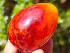 Polished Carnelian Agate Gemstone Eggs x 12 From Madagascar - Toprock Gemstones and Minerals 