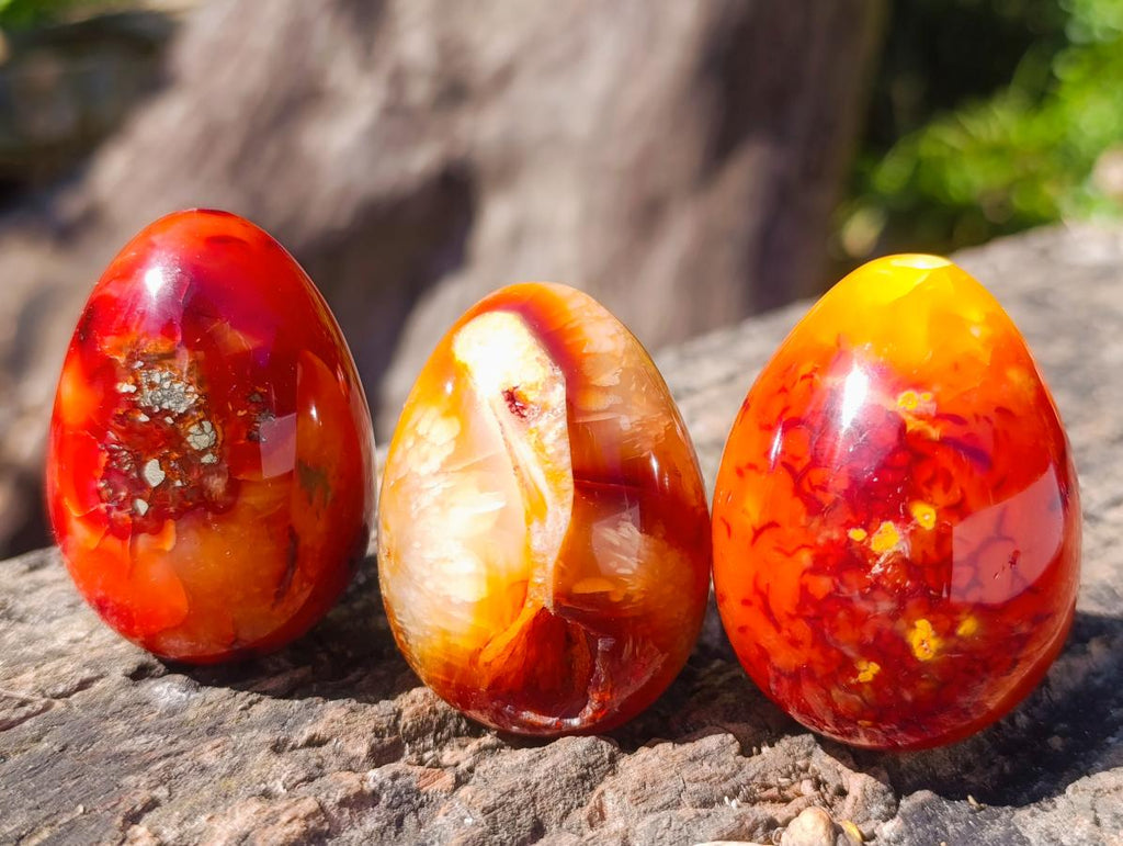 Polished Carnelian Agate Gemstone Eggs x 12 From Madagascar - Toprock Gemstones and Minerals 