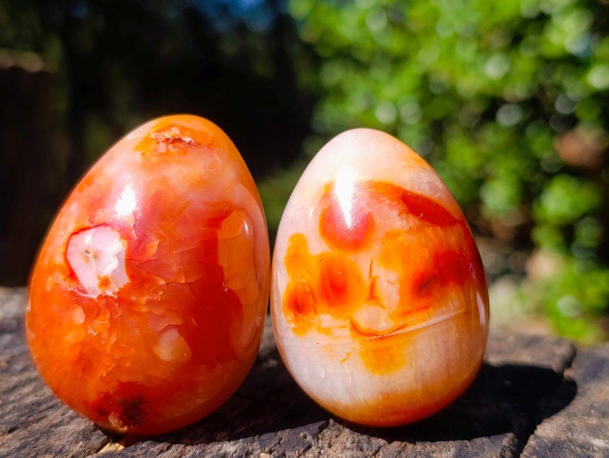 Polished Carnelian Agate Gemstone Eggs x 12 From Madagascar - Toprock Gemstones and Minerals 
