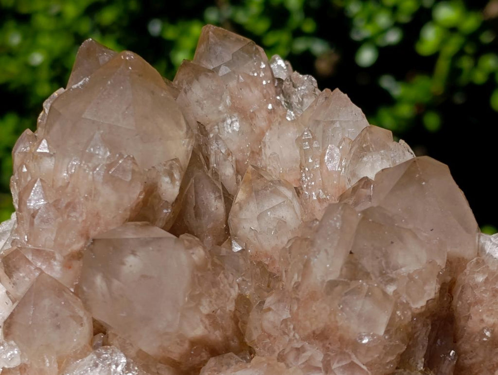 Natural Large Cascading White Phantom Smokey Luena Quartz Cluster x 1 From Luena, Congo - Toprock Gemstones and Minerals 