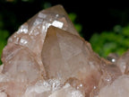 Natural Large Cascading White Phantom Smokey Luena Quartz Cluster x 1 From Luena, Congo - Toprock Gemstones and Minerals 