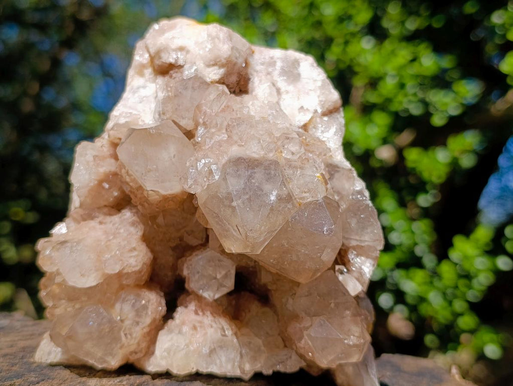 Natural Large Cascading White Phantom Smokey Luena Quartz Cluster x 1 From Luena, Congo - Toprock Gemstones and Minerals 