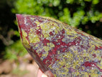Polished Bastite Dragonsblood Stone Display Crystals x 2 From Tshipise, South Africa - Toprock Gemstones and Minerals 