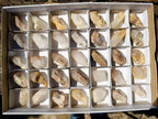 Natural Cascading Candle Quartz Crystals x 35 From Antsirabe, Madagascar - Toprock Gemstones and Minerals 