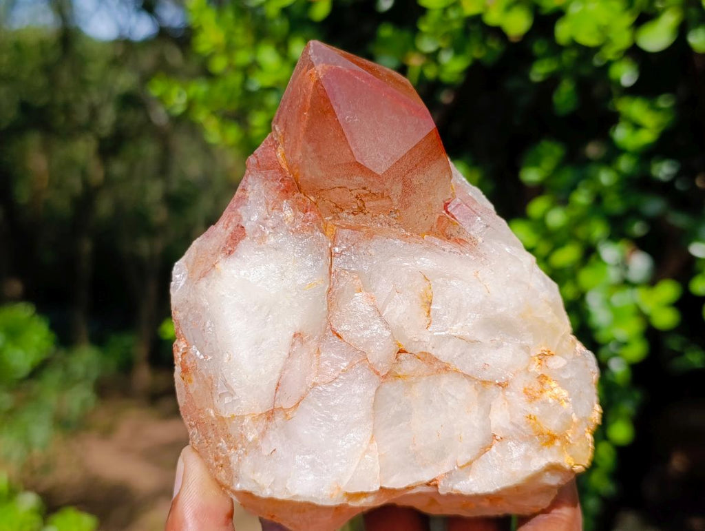 Natural Red Hematoid Quartz Clusters x 3 From Karoi, Zimbabwe - Toprock Gemstones and Minerals 