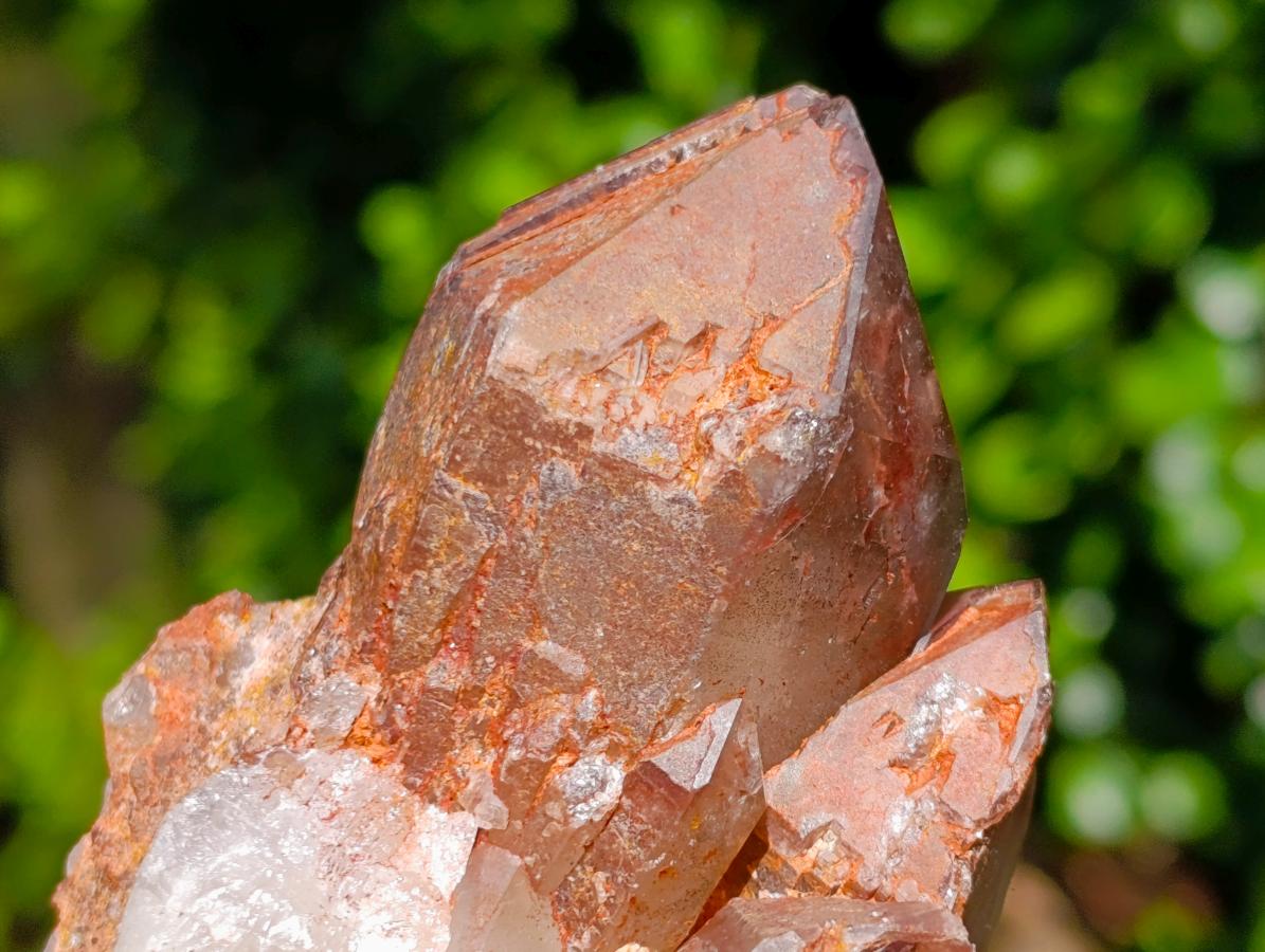 Natural Red Hematoid Quartz Clusters x 3 From Karoi, Zimbabwe - Toprock Gemstones and Minerals 