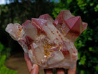 Natural Red Hematoid Quartz Clusters x 3 From Karoi, Zimbabwe - Toprock Gemstones and Minerals 