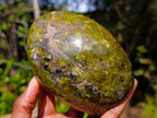Polished Green Opal Standing Display Pieces x 3 From Betroka, Madagascar - Toprock Gemstones and Minerals 