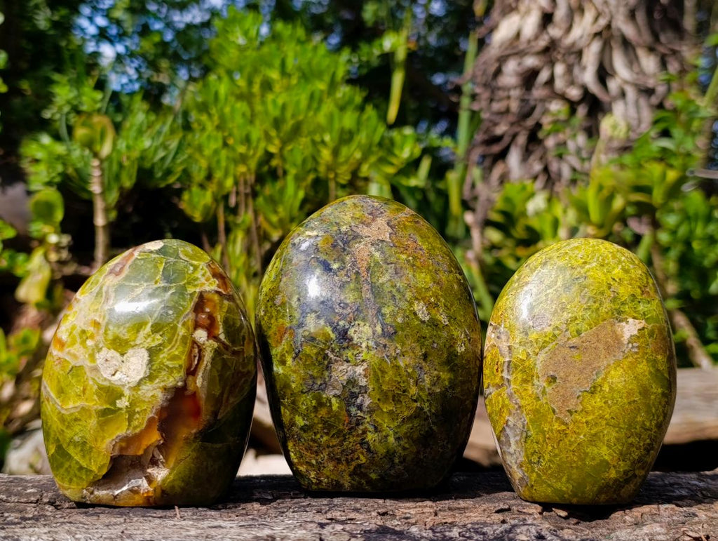 Polished Green Opal Standing Display Pieces x 3 From Betroka, Madagascar - Toprock Gemstones and Minerals 