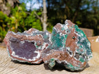 Natural Drusy Quartz Coated Ball Malachite On Dolomite Specimens x 3 From Mindingi Mine, Kambove, Congo - Toprock Gemstones and Minerals 