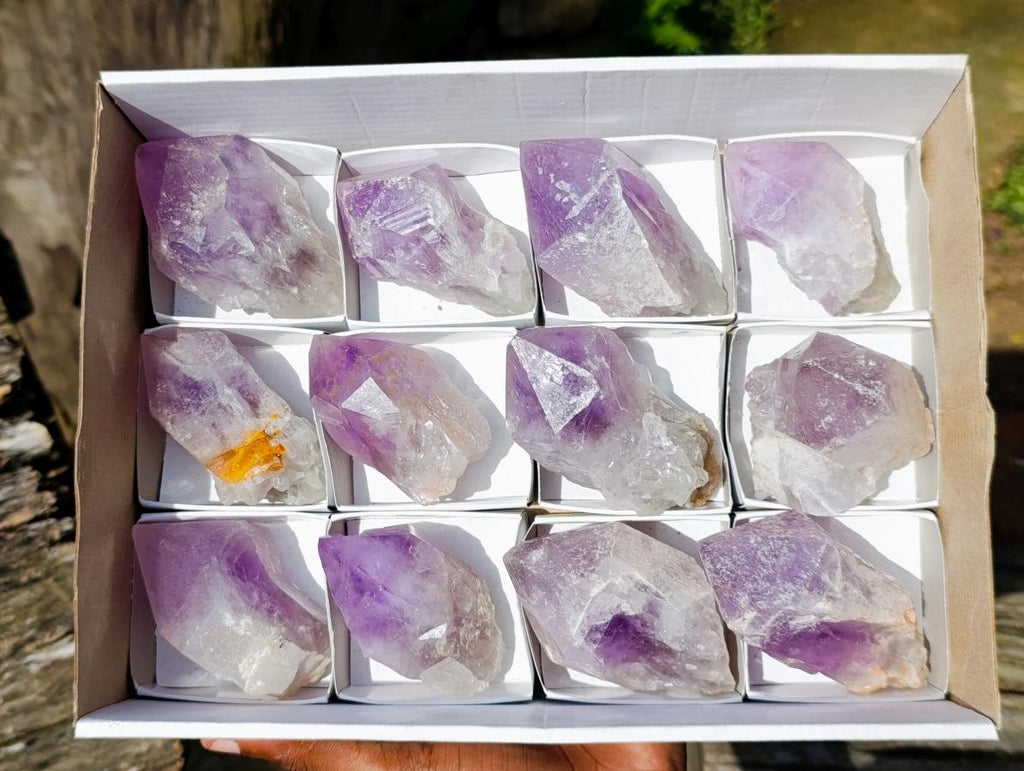 Natural Jacaranda Amethyst Single Crystals x 12 From Mumbwa, Zambia - Toprock Gemstones and Minerals 