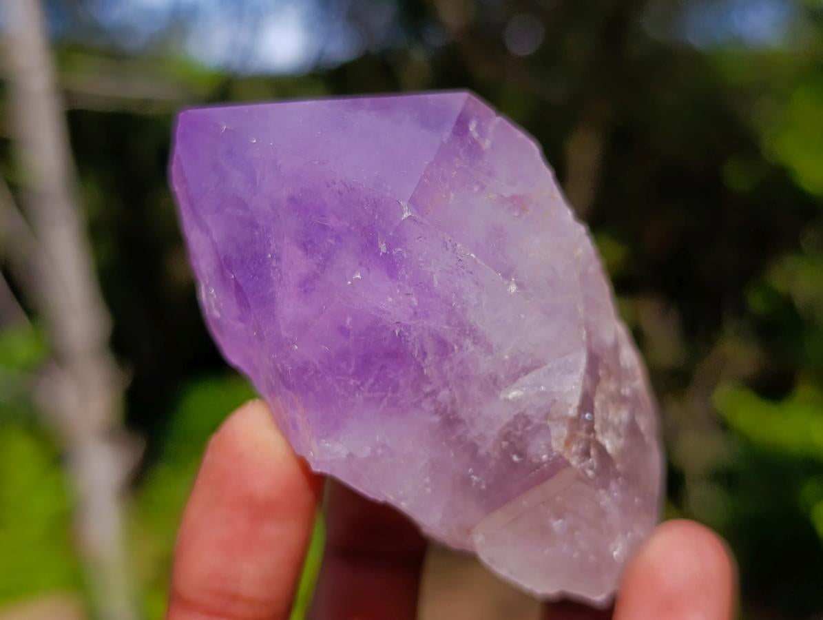Natural Jacaranda Amethyst Single Crystals x 12 From Mumbwa, Zambia - Toprock Gemstones and Minerals 