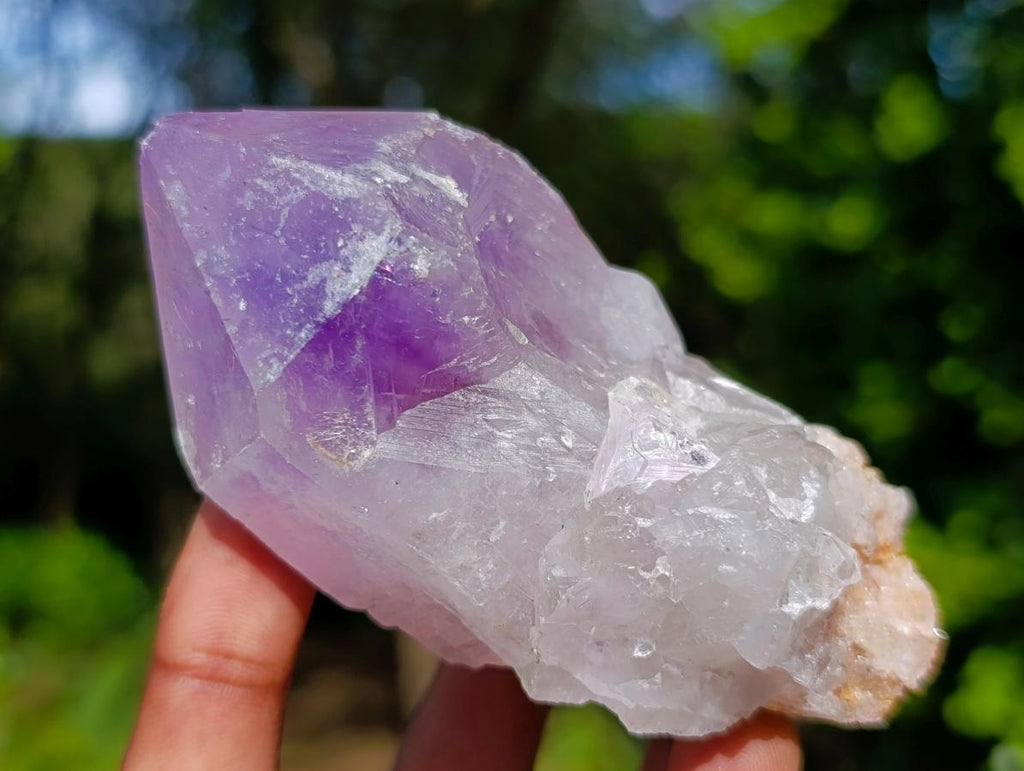 Natural Jacaranda Amethyst Single Crystals x 12 From Mumbwa, Zambia - Toprock Gemstones and Minerals 